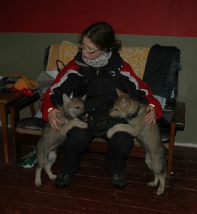2012-097.jpg