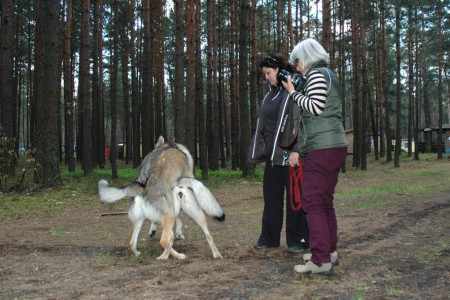 Polsko kryti 8