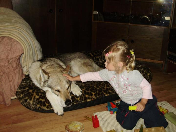 Nikolka se smečkou 068