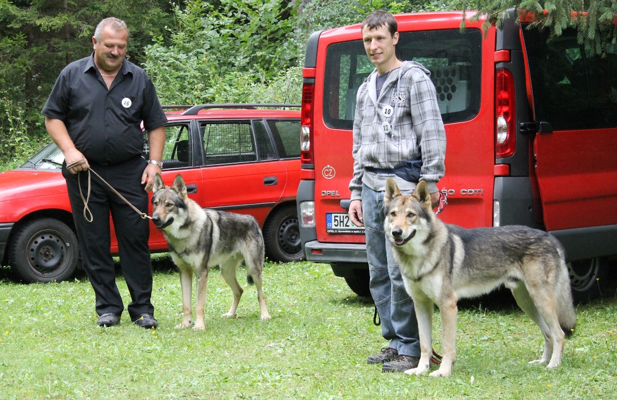 aschar a goran