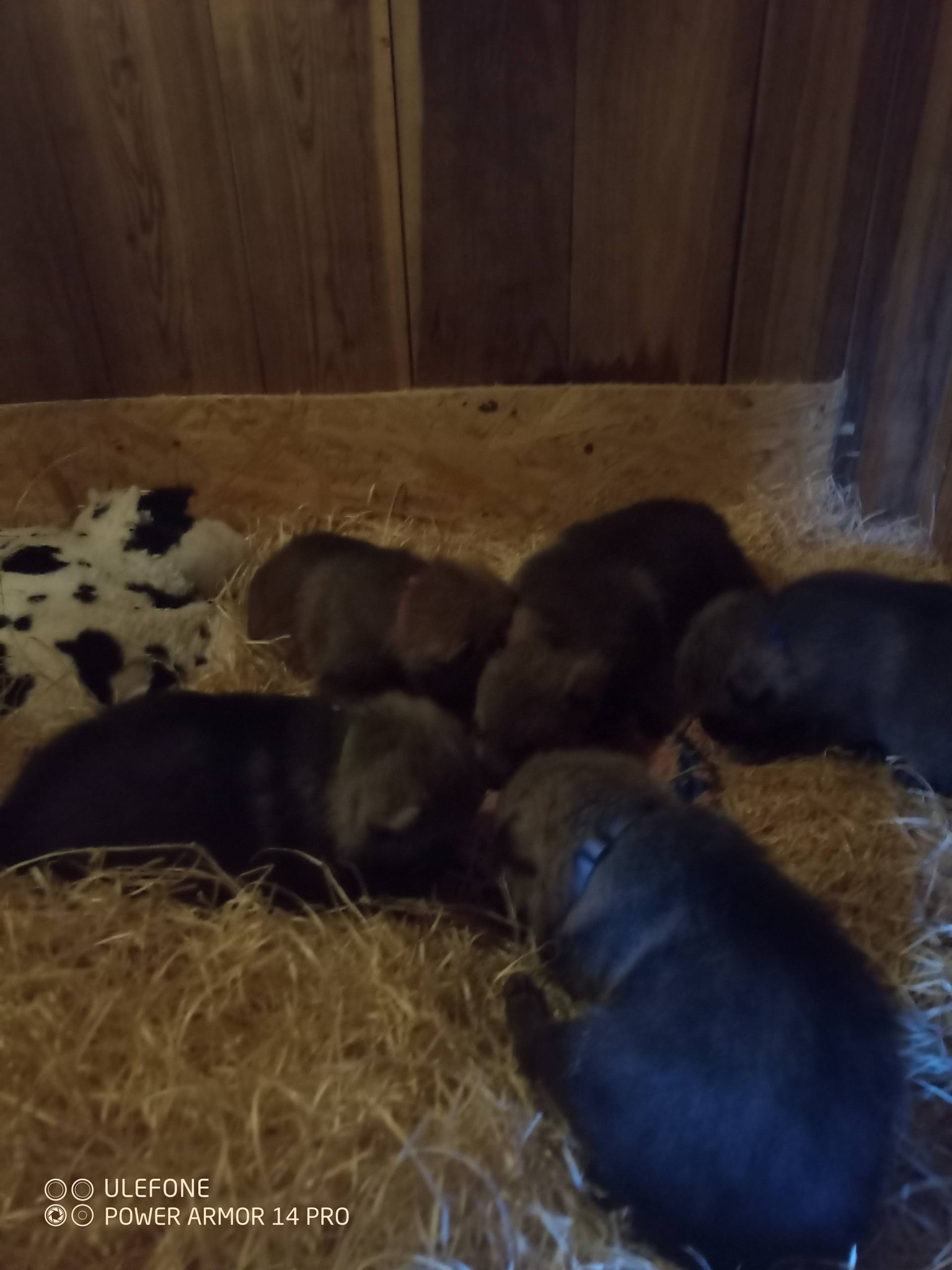 605771546_26414501021472014_1791814792819378732_n