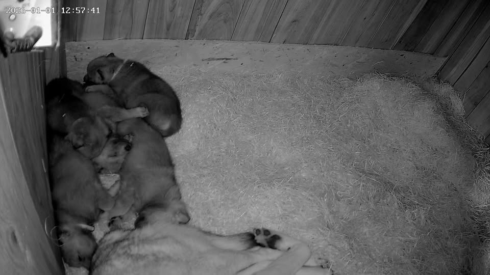 607046042_26468890636033052_3663583552549796390_n