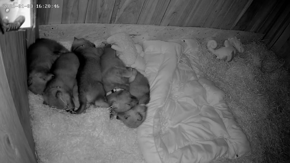 608168525_26486095950979187_5972812847216454577_n