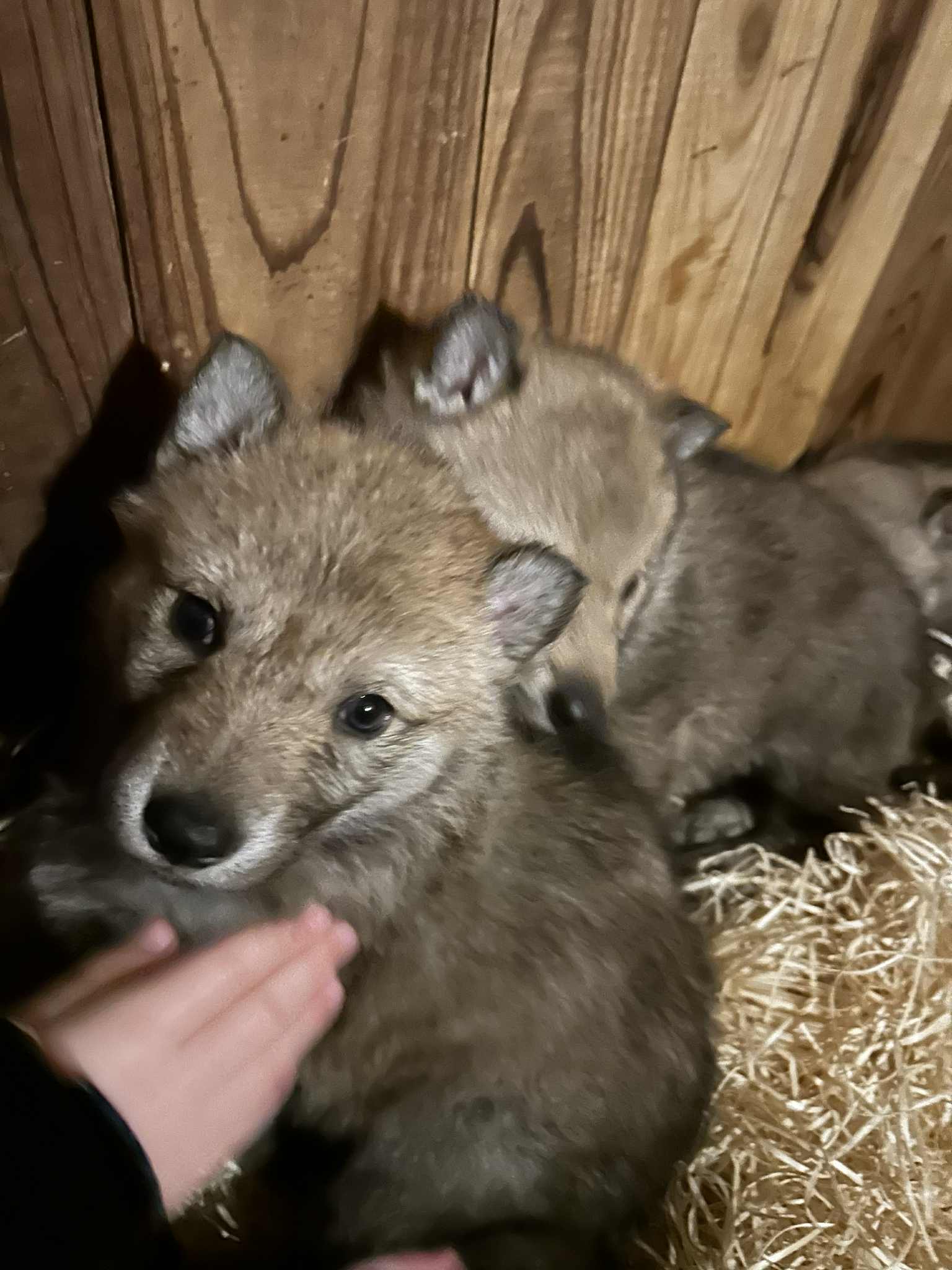 2ba657f7-e9b0-4114-8091-6382fb1e785f