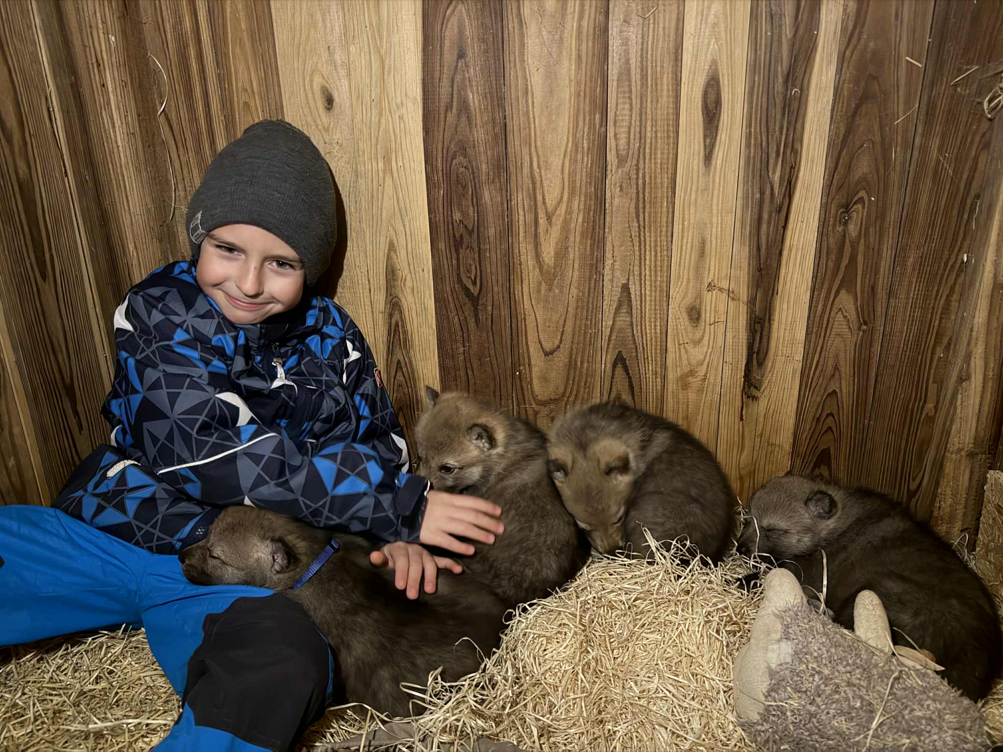 49263d42-7840-41f2-903f-3ed7e80a2602