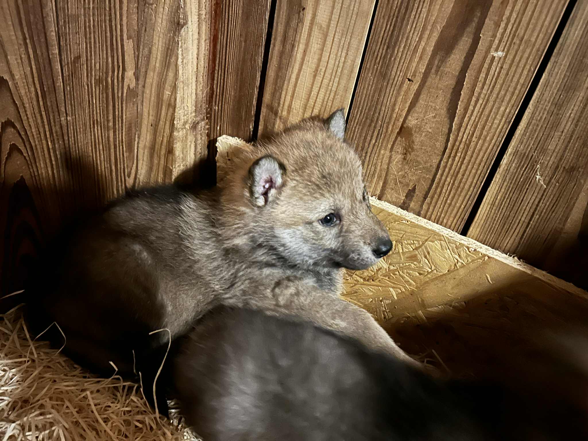 dfae6d42-b467-4feb-8685-2030a26b4238