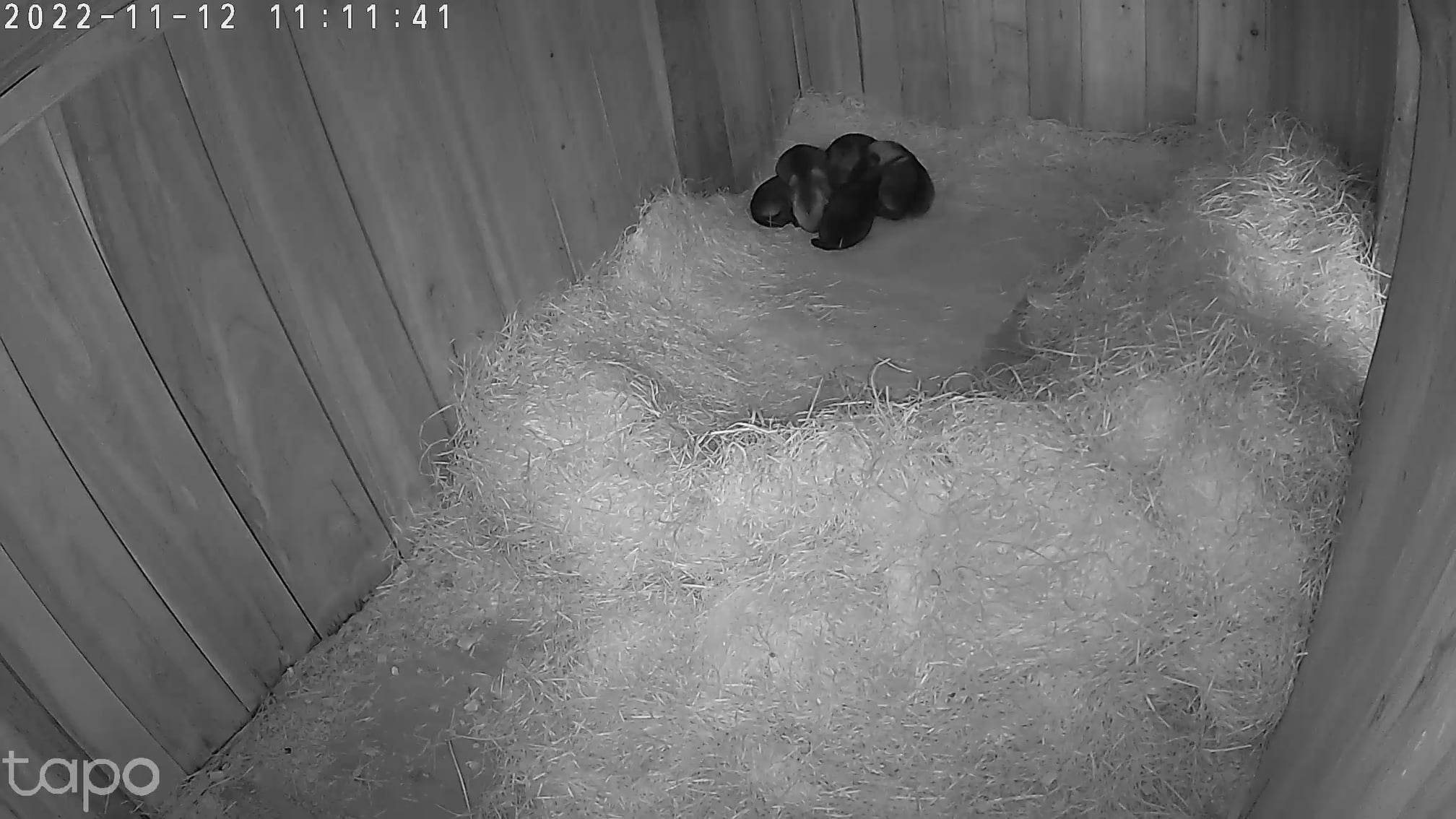 314408145_667344121433542_7885498706723395461_n (1)