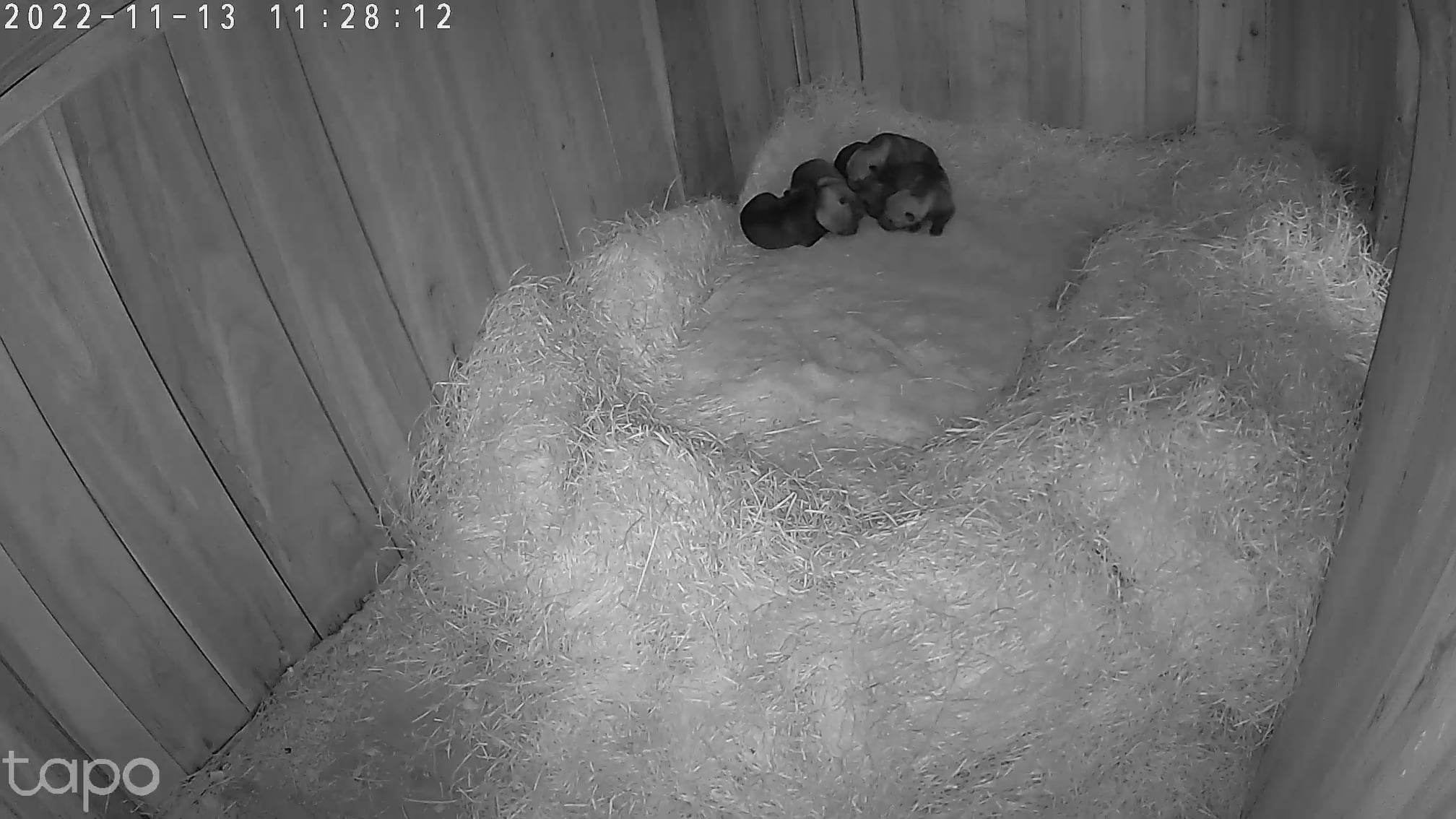 314614974_484528586989158_840033662047921489_n