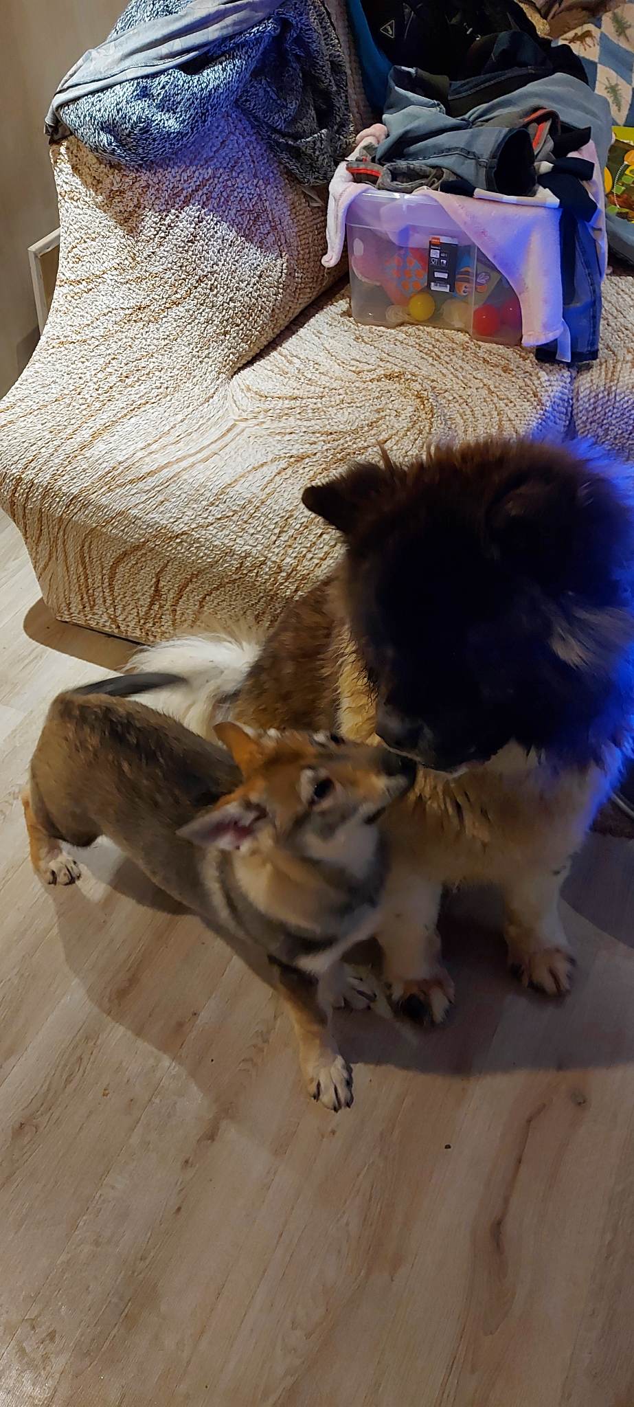 Unika_545064410991014_8788713365717285555_n