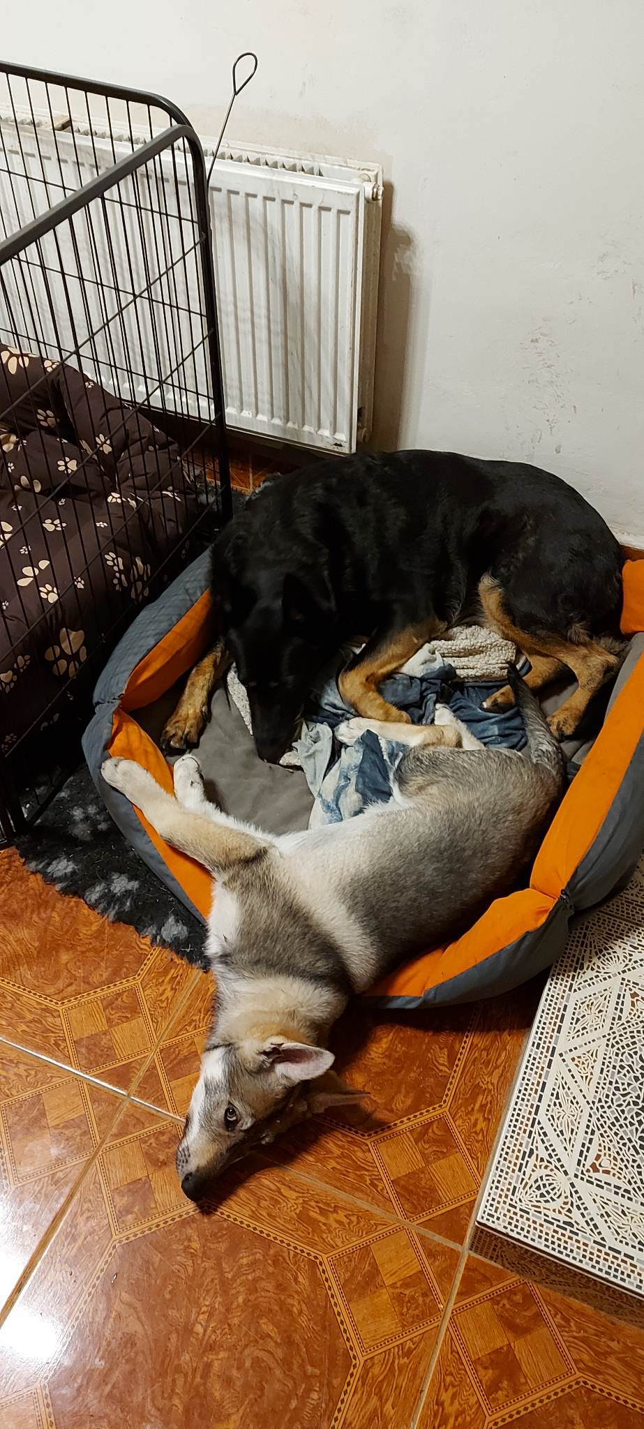 unika328113494_3539738562927303_1030006731772293920_n