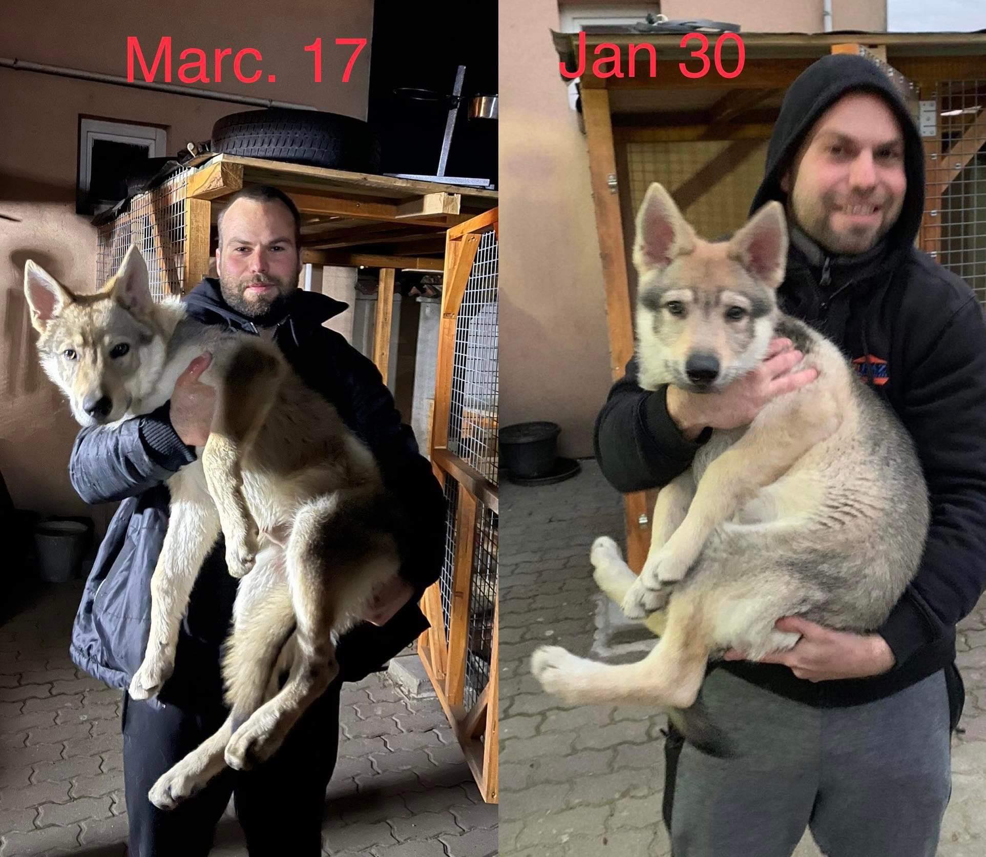 uličník336582398_231105232631992_1200793709839811806_n