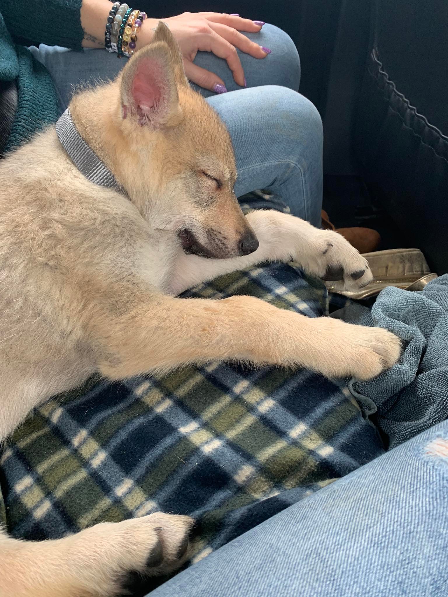 323361015_1552792038531268_2245124792528982855_n