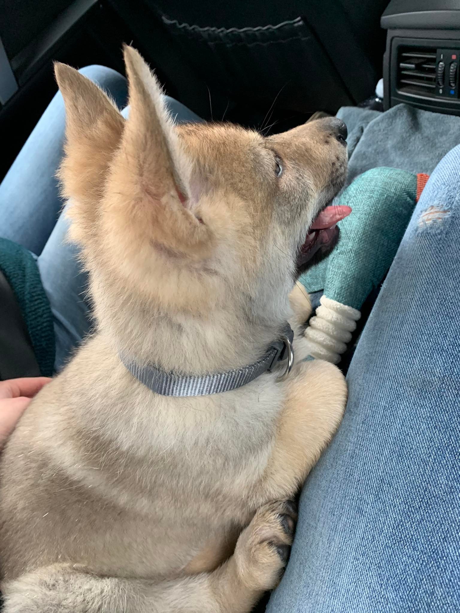 324494906_562983579012998_3365629582519460659_n