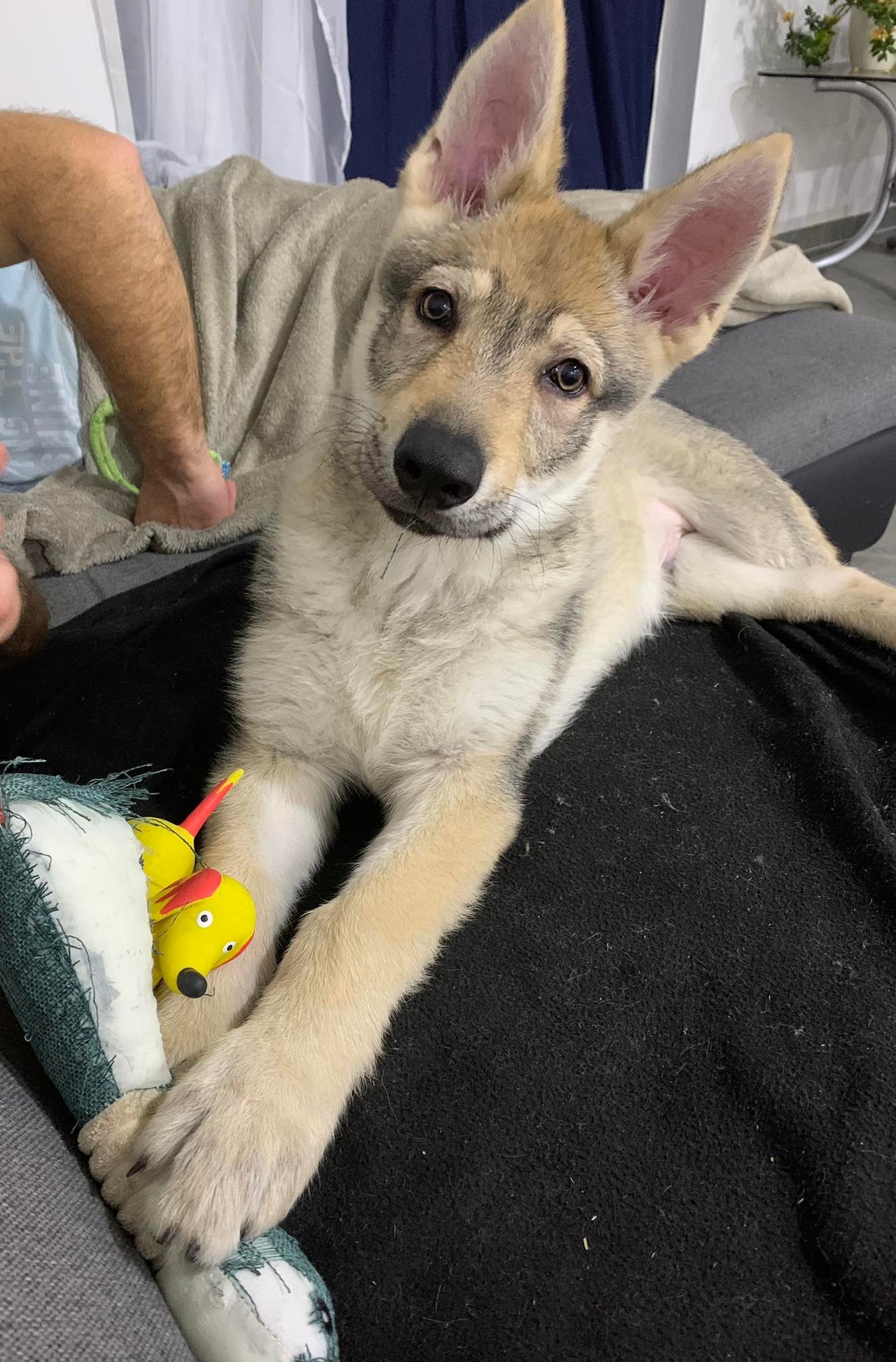 327559166_666955288772756_5469825389561051456_n