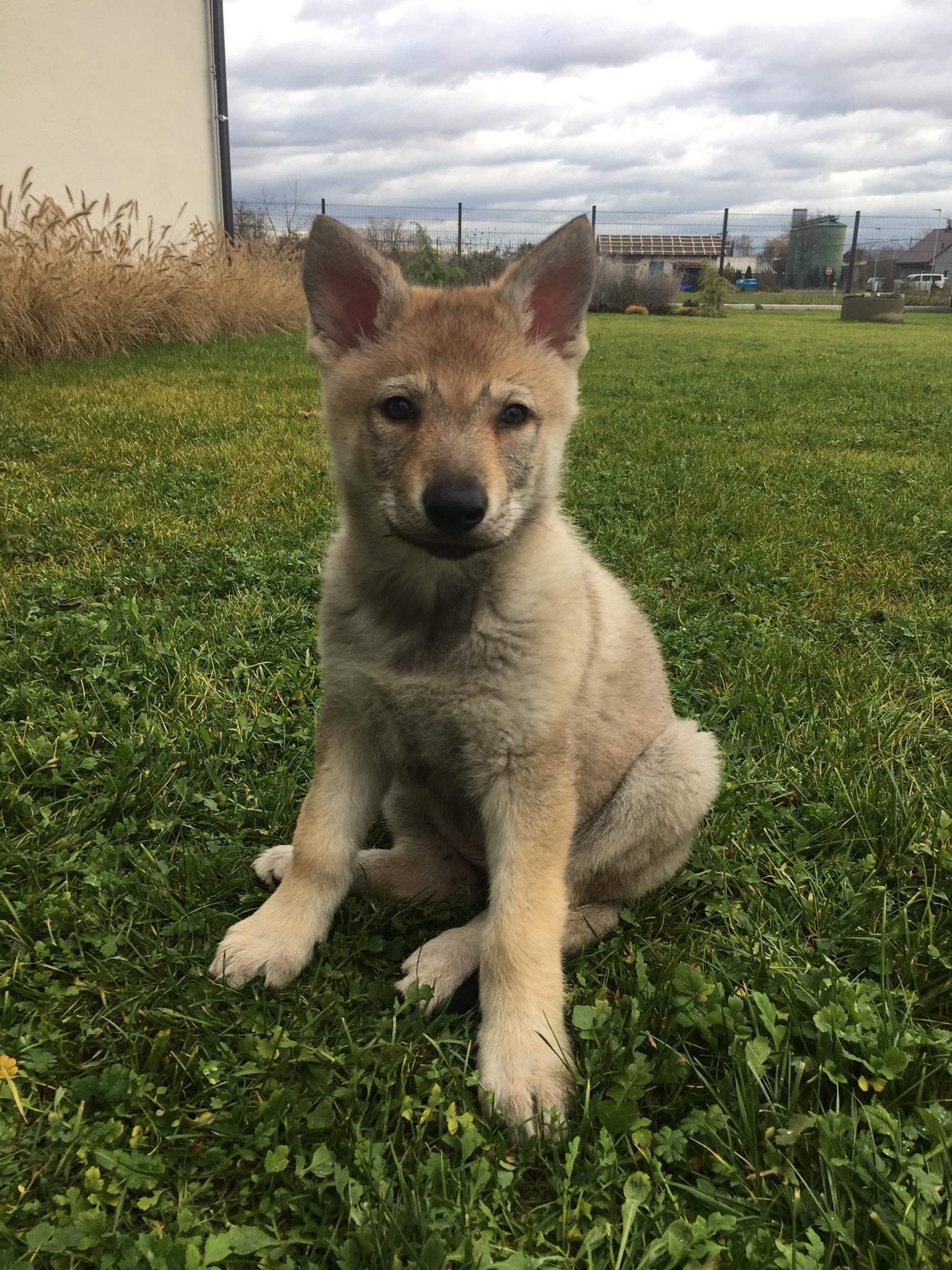 321791069_886076842540524_6825522984514531954_n