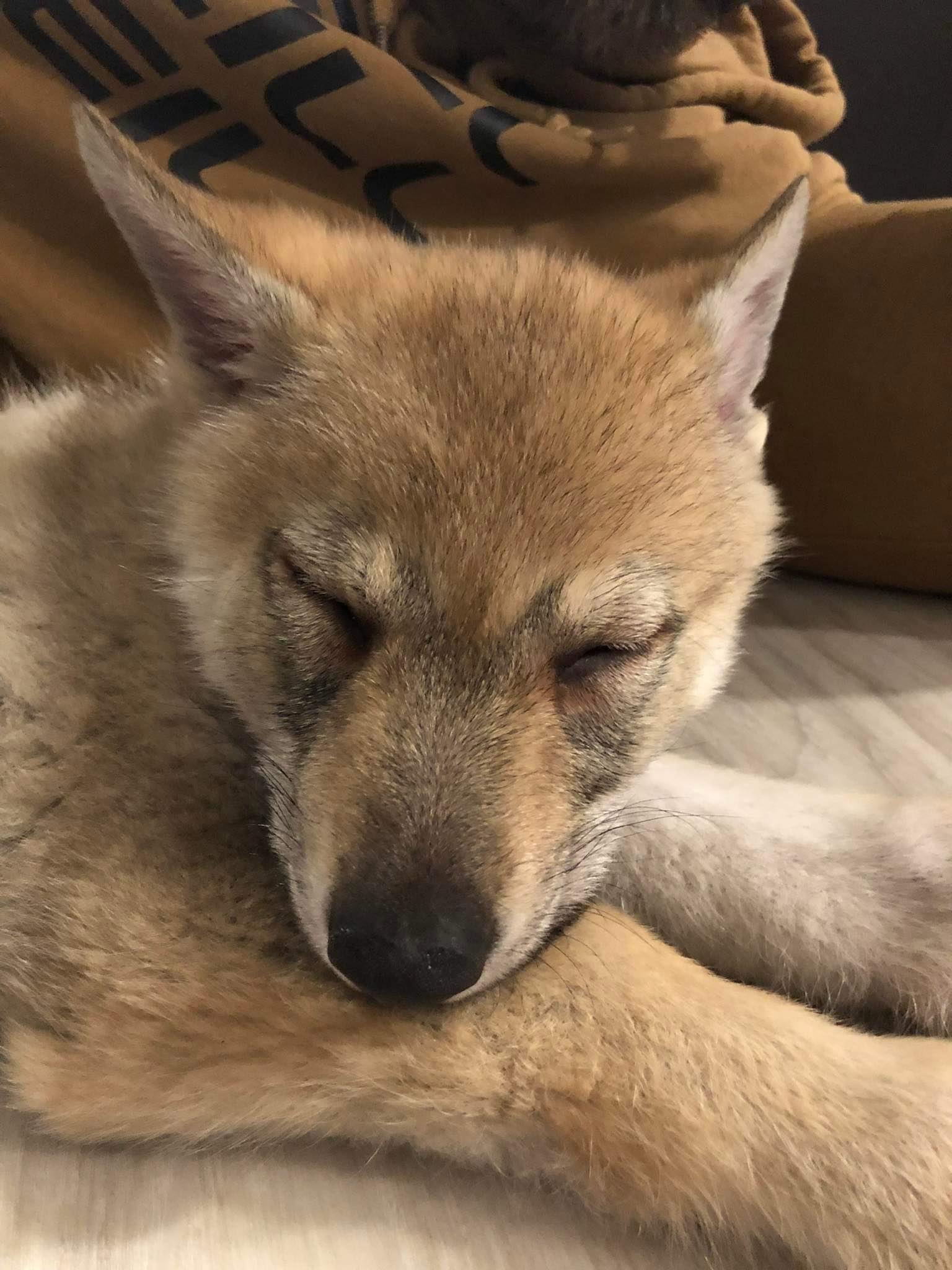 322134835_1568121370372238_5224239419239410944_n