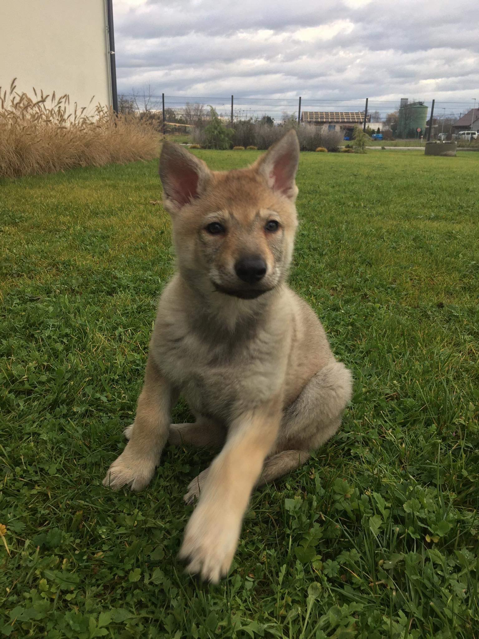 322503839_555434406605762_7664013879577745159_n