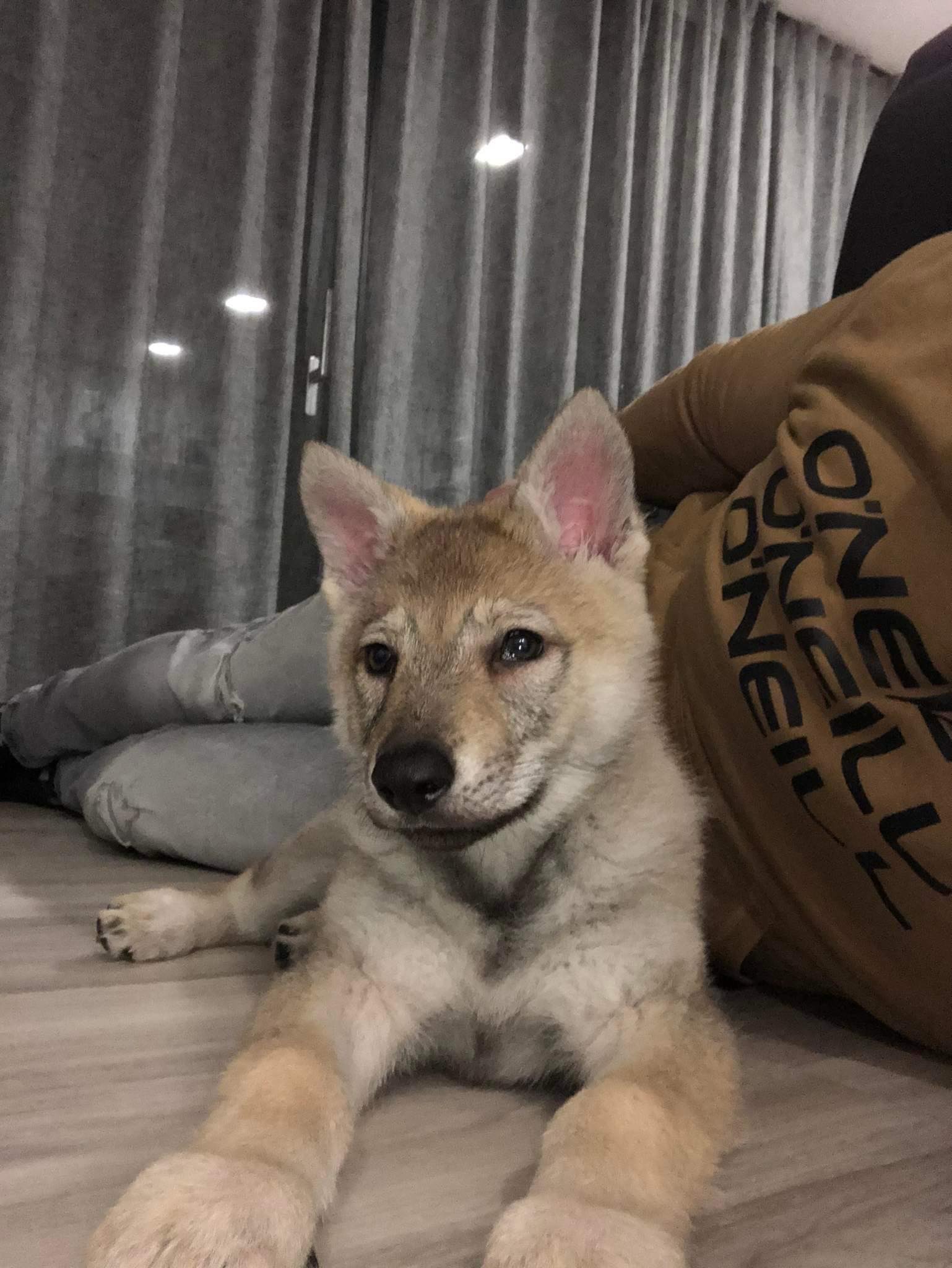 322778887_572117290979471_4639277085816818222_n