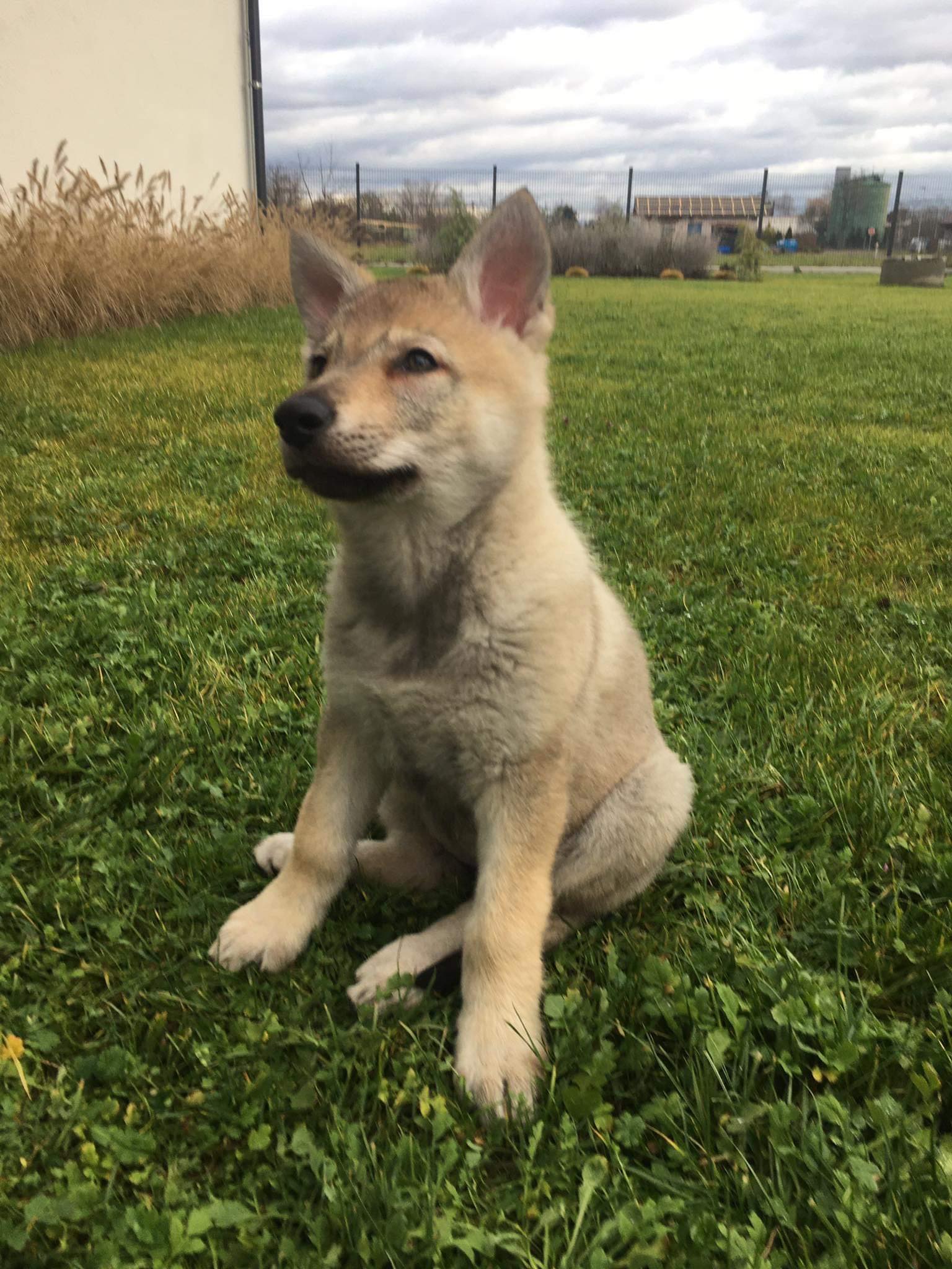 322823743_2229029897301053_1257263772831271044_n