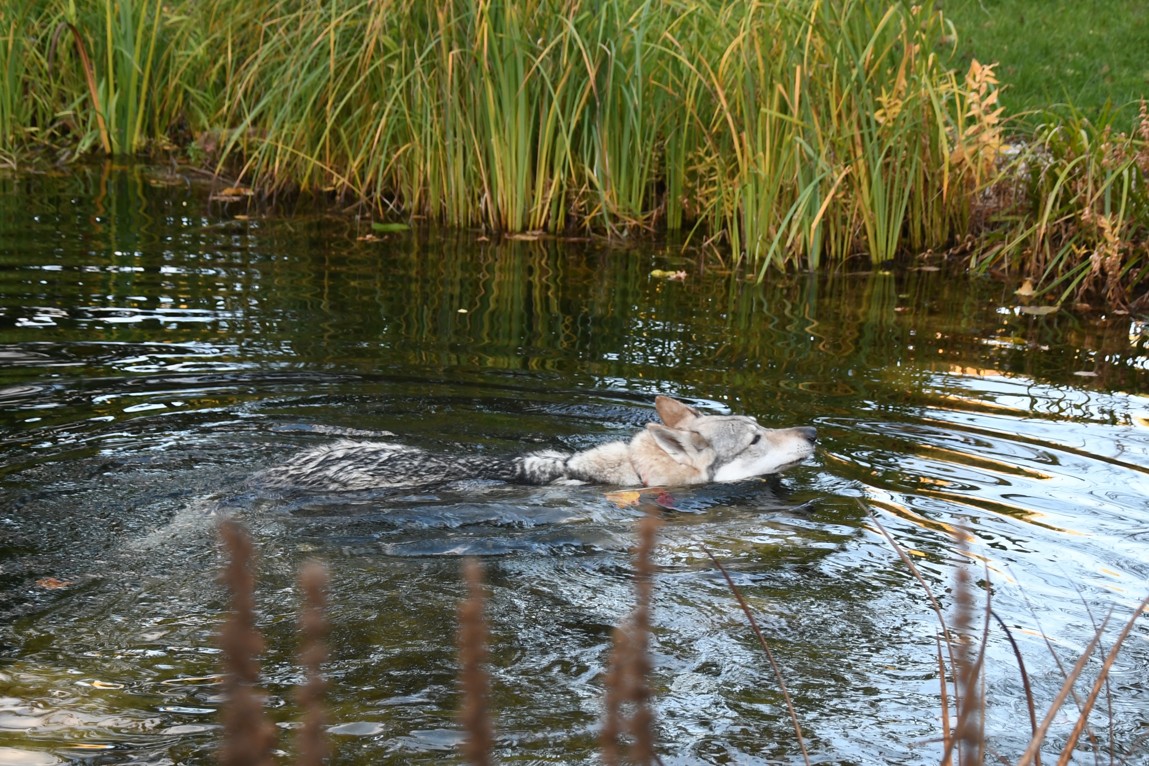 Norbert a Dorotka říjen 2025 (109)
