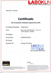 dm1229869_451421248307978_1190635518_n.jpg