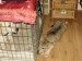 P9100494_resize