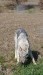 dory10009545_592514434172186_1565786717_n